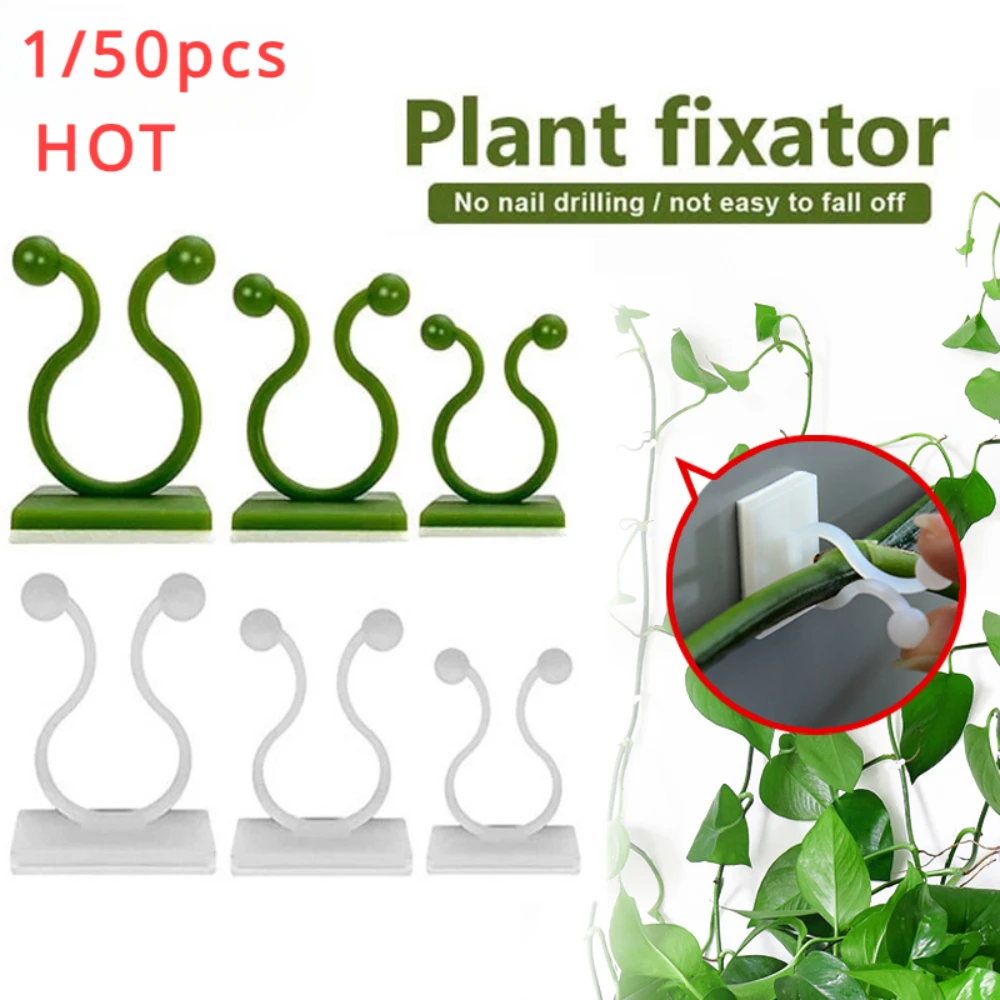 Plant Parents - 1/30/50Pcs For Garden Accsesories Plant Garden