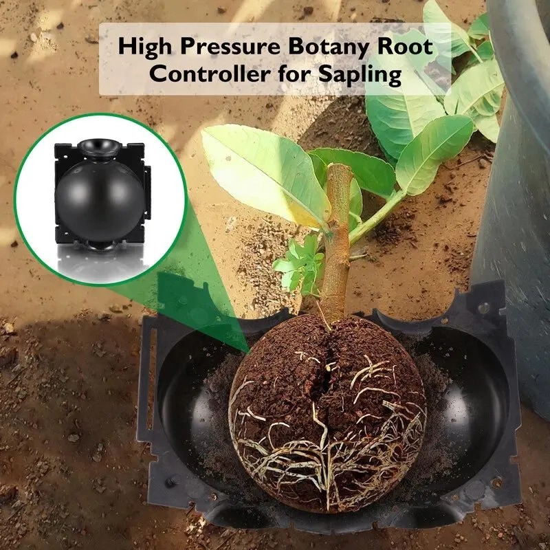 5/30Pcs Plant Rooting Ball Gra - Plant Parents ulasan dan harga