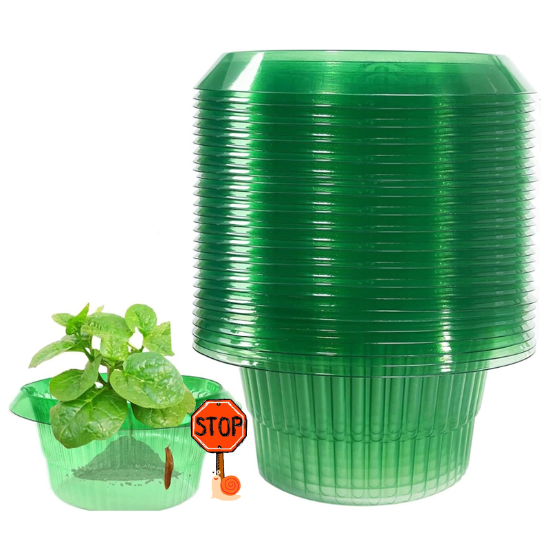 5-25Pcs Plants Slug Protection - Plant Parents ulasan dan harga