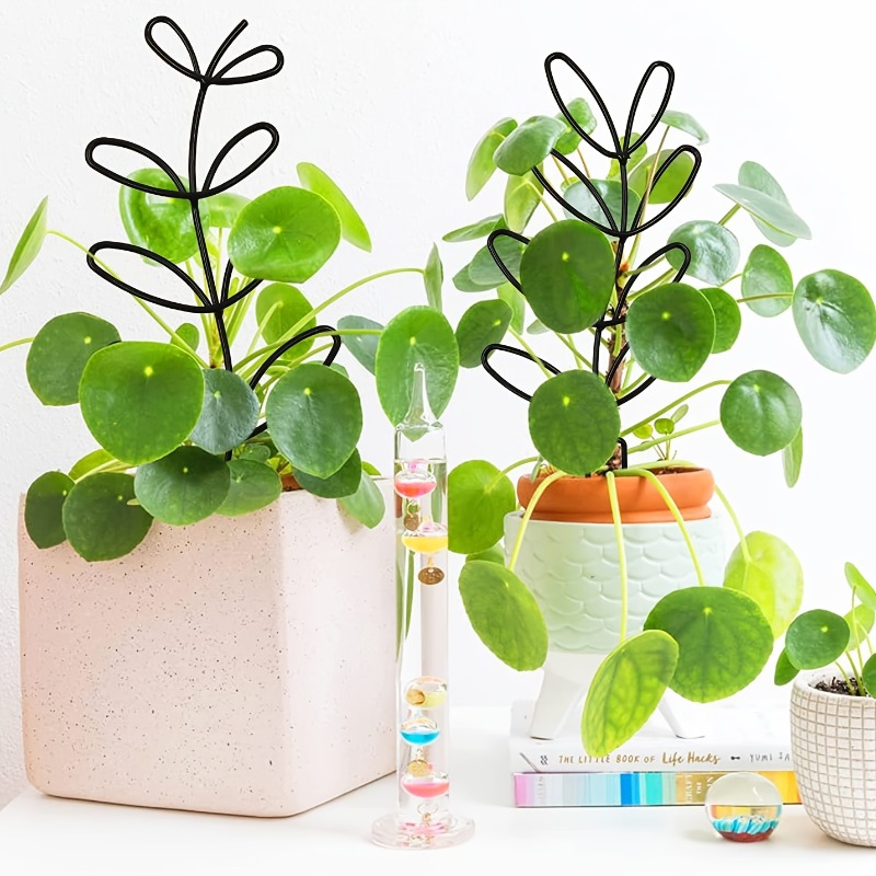 3Pcs Plant Support Frame Climb - Plant Parents ulasan dan harga