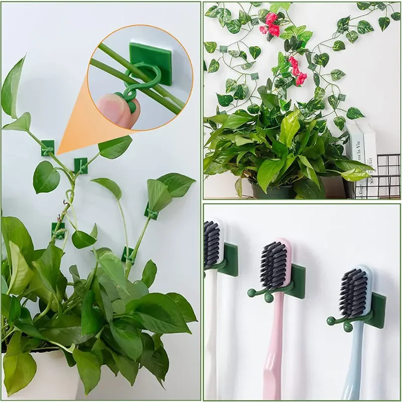 1/30/50Pcs For Garden Accsesor - Plant Parents ulasan dan harga