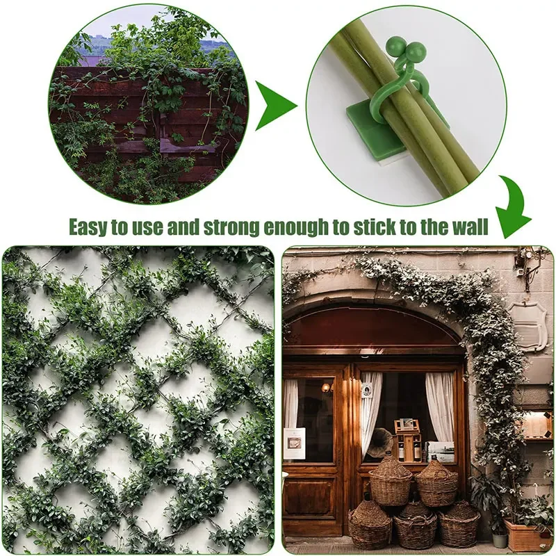 1/30/50Pcs For Garden Accsesor - Plant Parents ulasan dan harga
