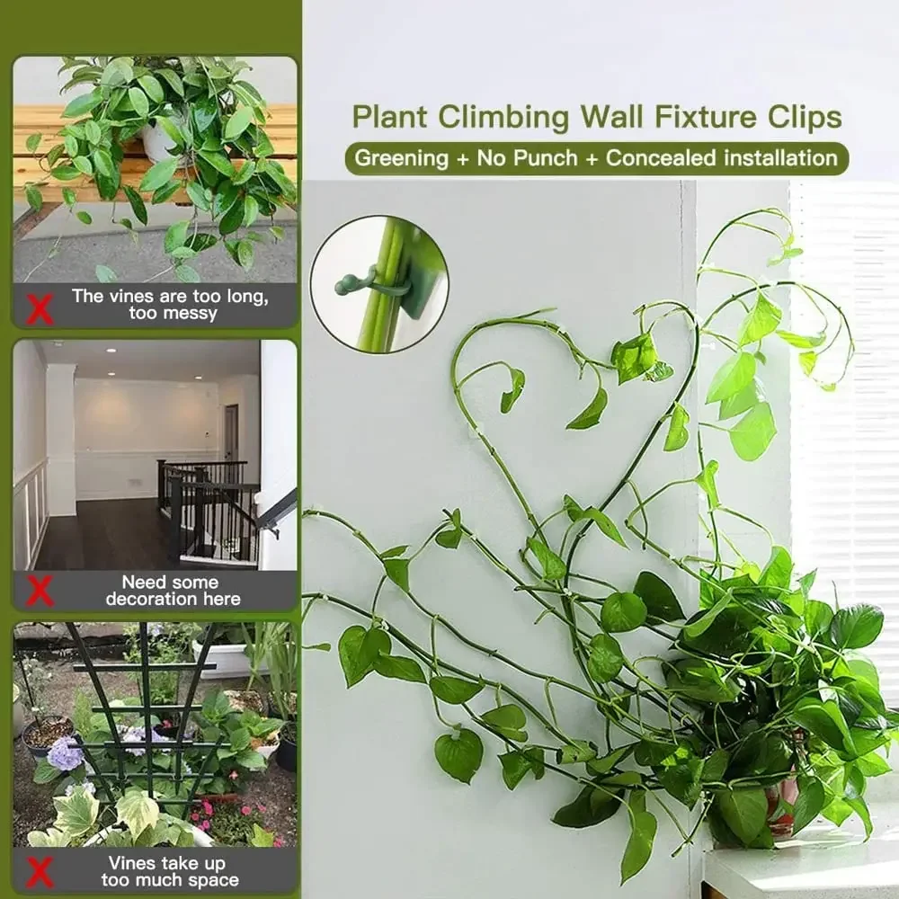 1/30/50Pcs For Garden Accsesor - Plant Parents ulasan dan harga