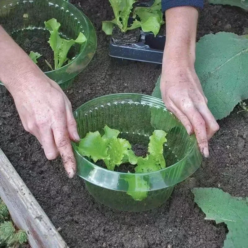 Plants Slug Protection Rings V - Plant Parents ulasan dan harga